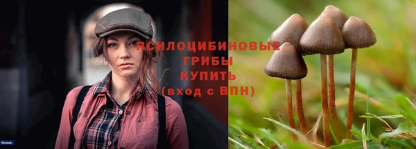 марки nbome Алзамай