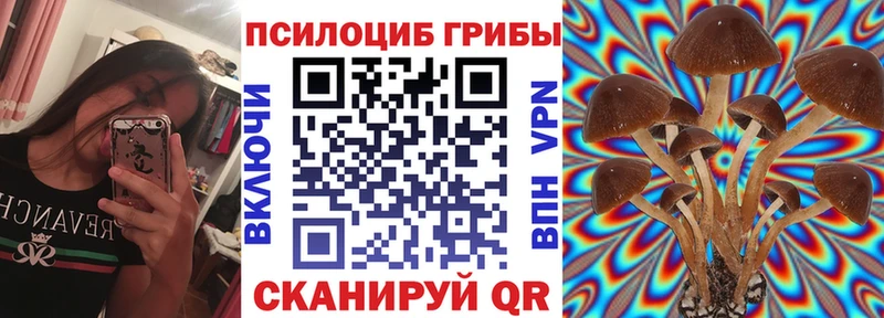МЕГА как войти  Пошехонье  Галлюциногенные грибы мухоморы 