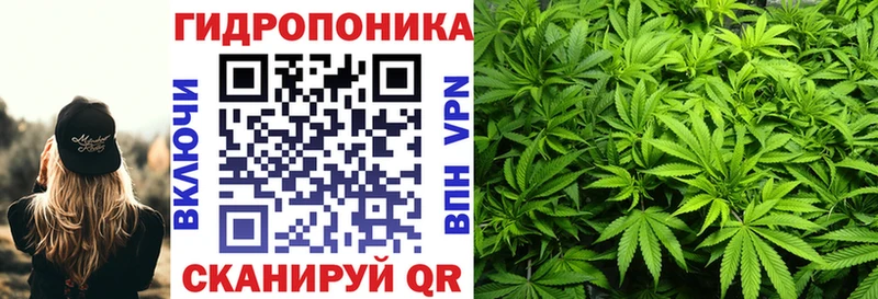 Канабис SATIVA & INDICA  Пошехонье 